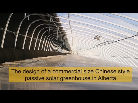 The design of a commercial size Chinese style passive solar greenhouse in Alberta