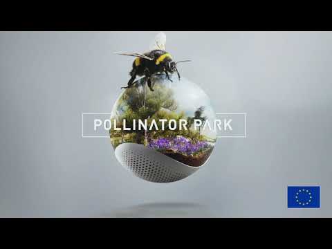 Pollinator Park - official launch