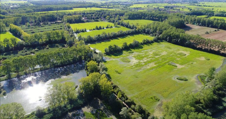 Agrivoltaico: a Pavia il concorso internazionale per un impianto da 1 a 3 MWp