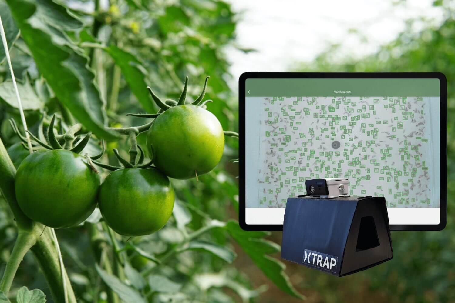 Agricoltura e climate change: il ruolo dell'intelligenza artificiale