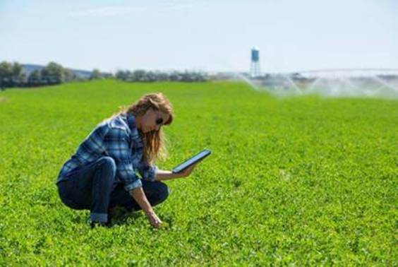 Agricoltura, ecco l’app per proteggere i raccolti in piena sostenibilità