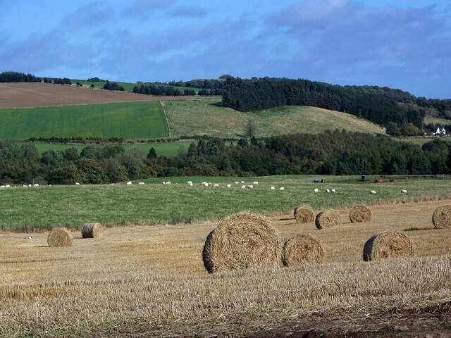 agricoltura UK – sovranità alimentare