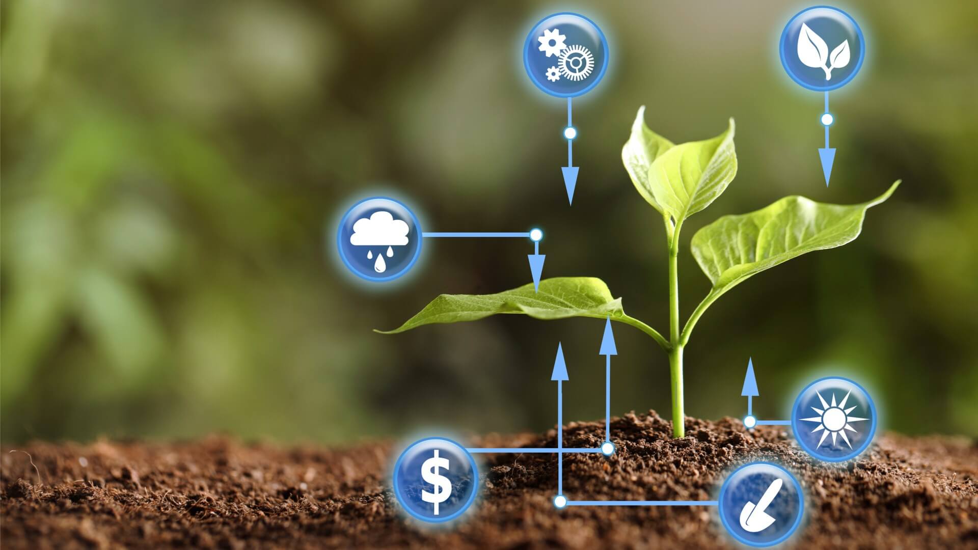 Agricoltura 4.0: il digitale trasforma le competenze degli agricoltori