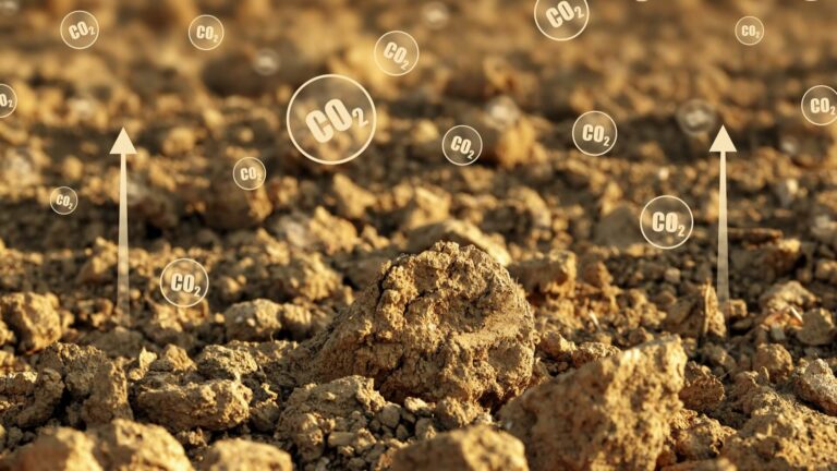 Rabo Carbon Bank, il ruolo dell'agricoltura per la rimozione del carbonio dall'atmosfera