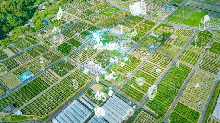 ENAPRA-Confagricoltura: solo con le giuste competenze, l'Agrifood può accedere all'innovazione digitale e sostenibile
