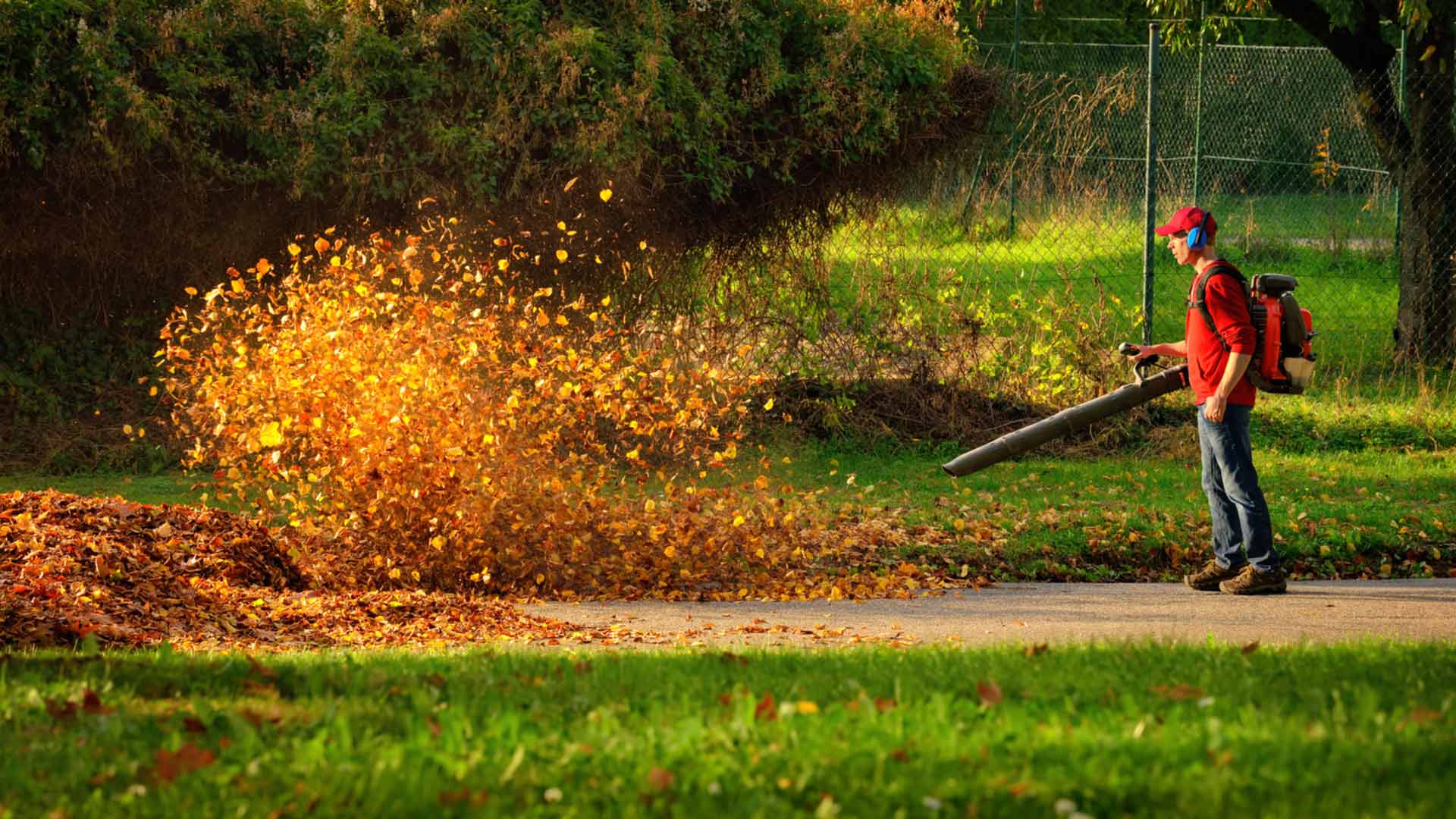 Accessori hi-tech per il giardinaggio? Leggeri, potenti, elettrici