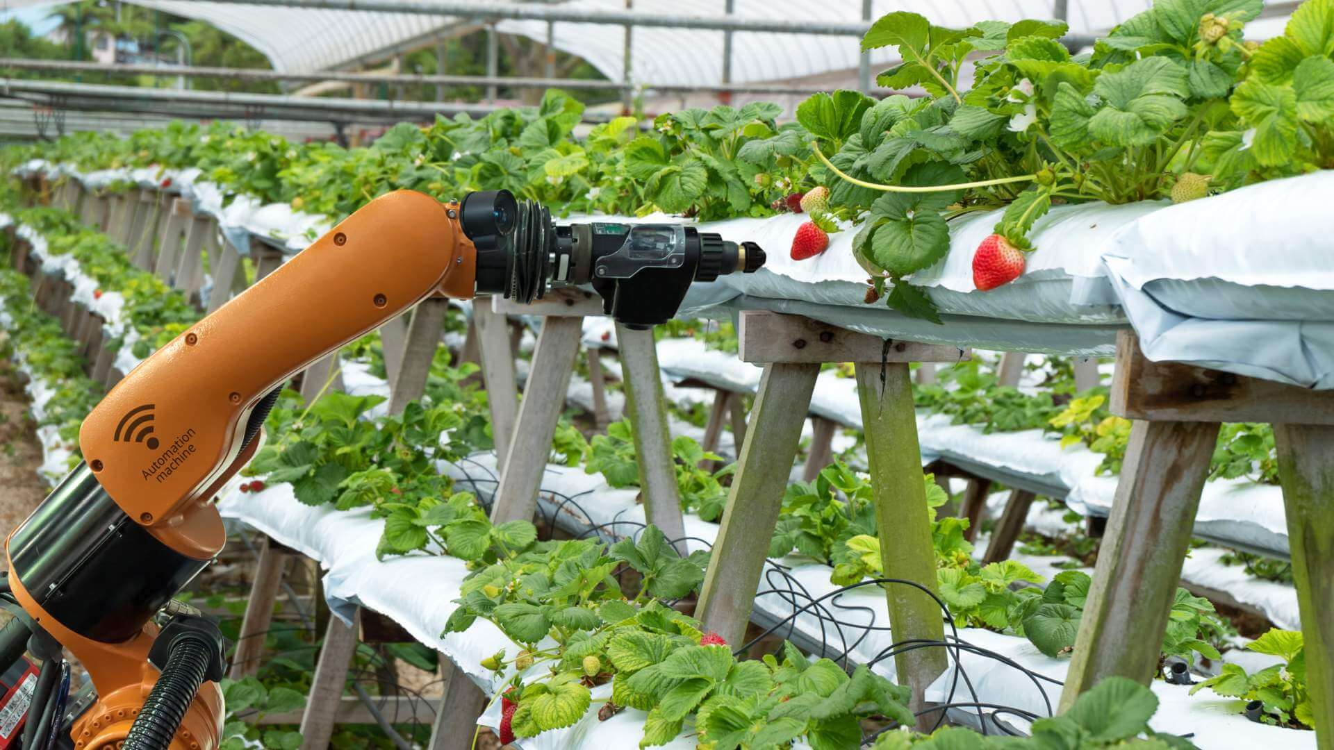 CNH investe in Advanced Farm Technologies per la raccolta robotizzata della frutta