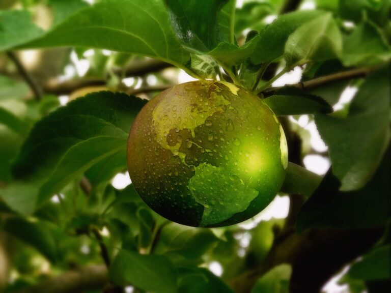Earth Day 2022: agricoltura rigenerativa e food responsibility per la trasformazione dell'agrifood