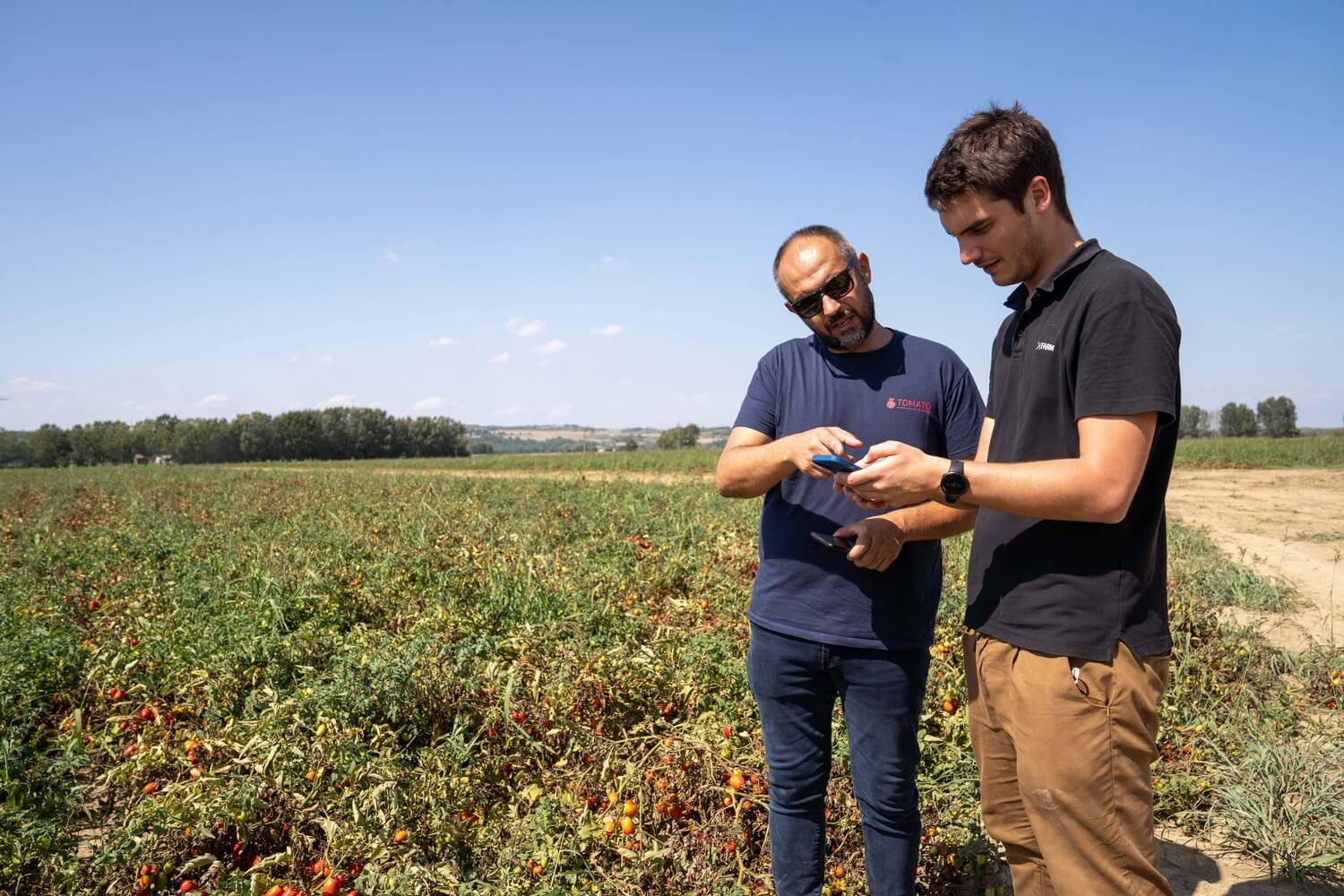 xFarm e Hubfarm digitalizzano la filiera del pomodoro dal campo alla trasformazione per Tomato Farm