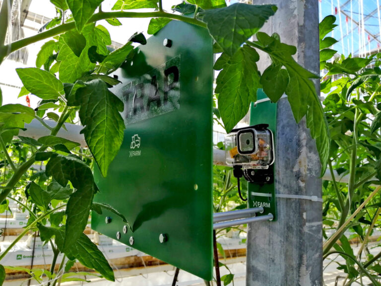 xTrap: la soluzione xFarm previene le infestazioni di insetti con IA e IoT